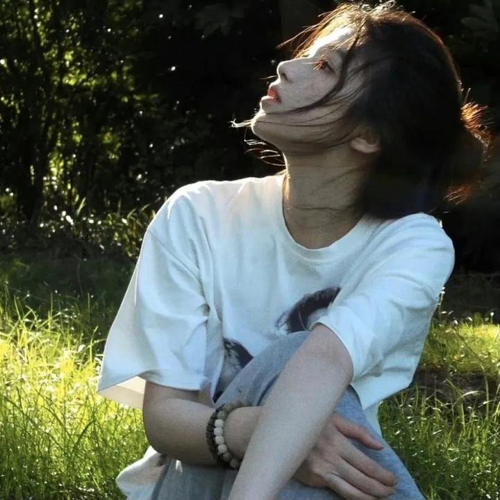 大象之梦